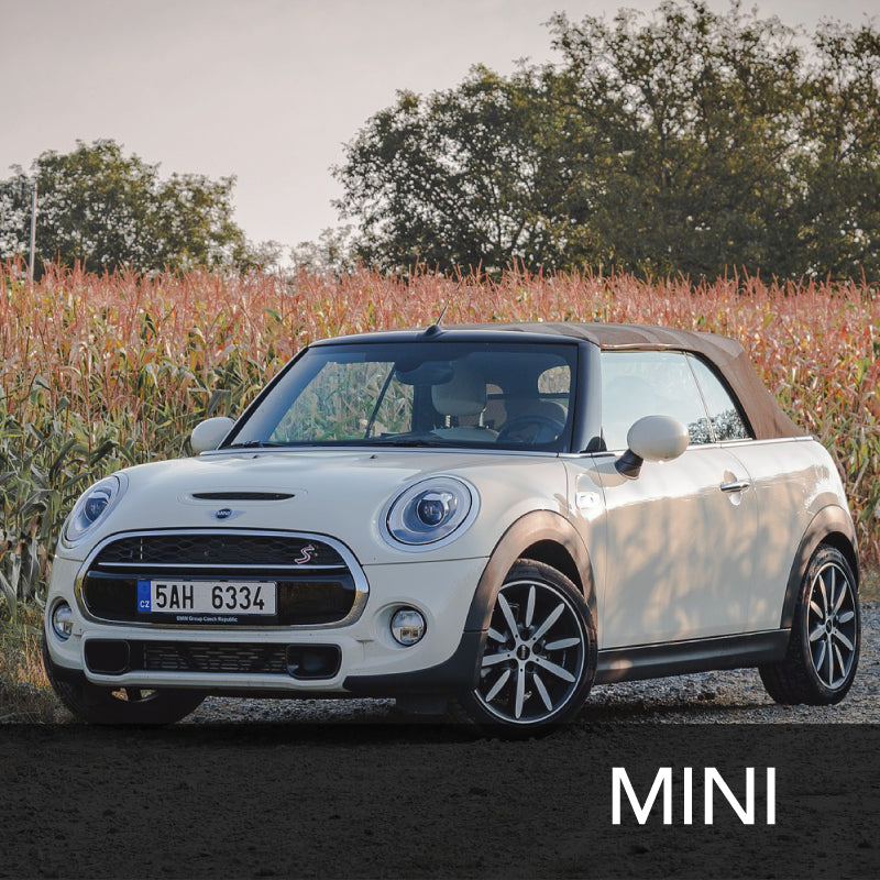For MINI